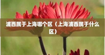 浦西属于上海哪个区（上海浦西属于什么区）