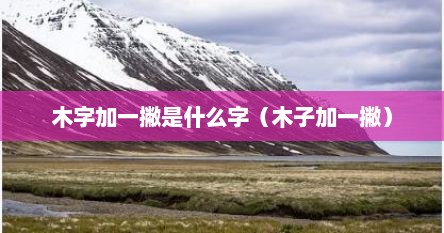 木字加一撇是什么字（木子加一撇）