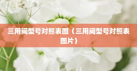三用阀型号对照表图（三用阀型号对照表图片）