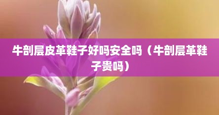 牛剖层皮革鞋子好吗安全吗（牛剖层革鞋子贵吗）