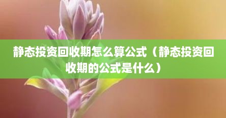 静态投资回收期怎么算公式（静态投资回收期的公式是什么）