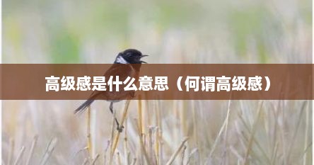 高级感是什么意思（何谓高级感）