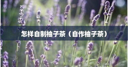 怎样自制柚子茶（自作柚子茶）
