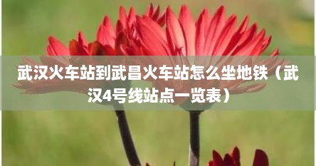 武汉火车站到武昌火车站怎么坐地铁(武汉4号线站点一览表) 武汉火车站到武昌火车站怎么坐地铁(武汉4号线站点一览表)