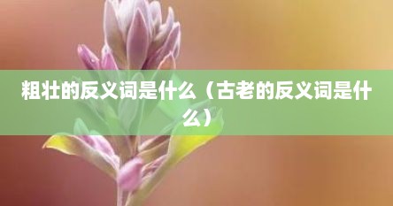 粗壮的反义词是什么(古老的反义词是什么) 粗壮的反义词是什么(古老的反义词是什么)