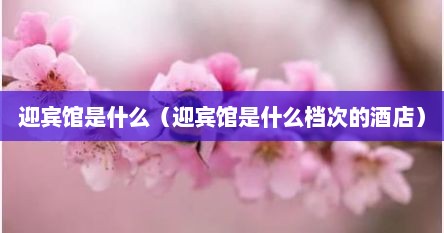 迎宾馆是什么（迎宾馆是什么档次的酒店）