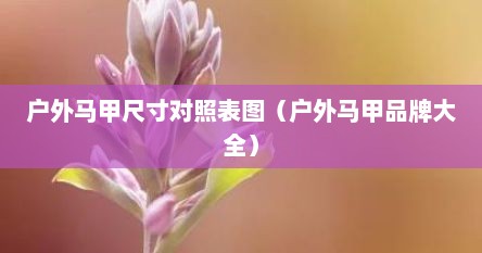 户外马甲尺寸对照表图（户外马甲品牌大全）