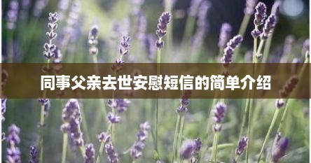 同事父亲去世安慰短信的简单介绍