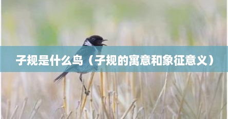 子规是什么鸟叫声（子规是什么意思和寓意）