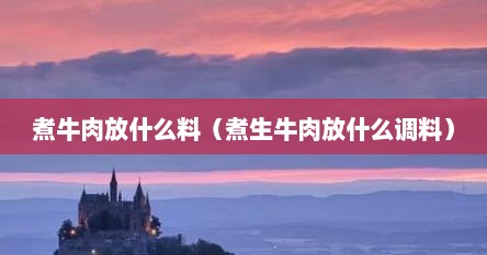 煮牛肉放什么料（煮生牛肉放什么调料）