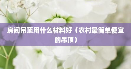 房间吊顶用什么材料好（农村最简单便宜的吊顶）