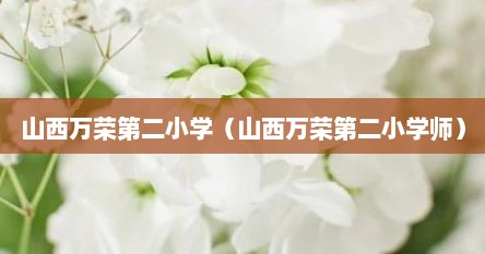 山西万荣第二小学（山西万荣第二小学师）