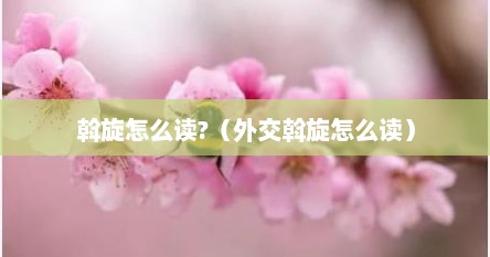 斡旋怎么读?（外交斡旋怎么读）