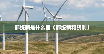 都统制是什么官（都统制和统制）