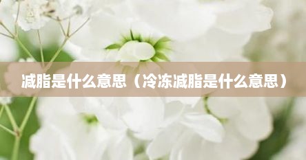 减脂是什么意思（冷冻减脂是什么意思）