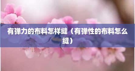 有弹力的布料怎样缝（有弹性的布料怎么缝）