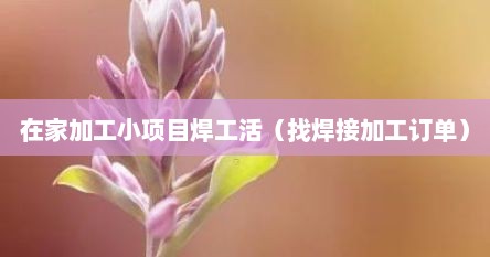 在家加工小项目焊工活（找焊接加工订单）
