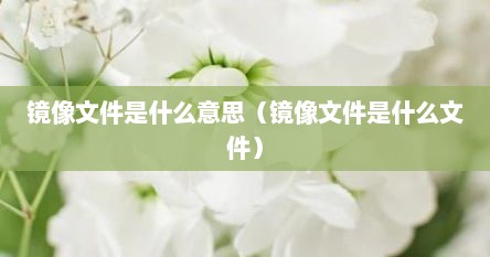 镜像文件是什么意思（镜像文件是什么文件）