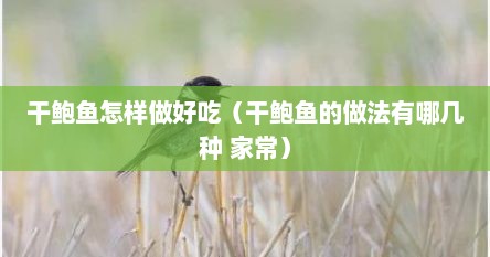 干鲍鱼怎样做好吃（干鲍鱼的做法有哪几种 家常）