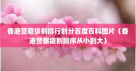 香港警察级别排行划分百度百科图片（香港警察级别排序从小到大）