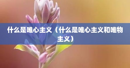 什么是唯心主义（什么是唯心主义和唯物主义）