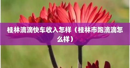 桂林跑滴滴车真实收入（桂林滴滴方便吗）
