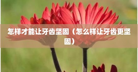 怎样才能让牙齿坚固（怎么样让牙齿更坚固）