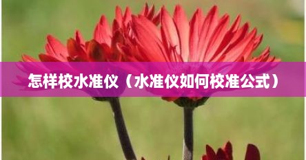 怎样校水准仪（水准仪如何校准公式）