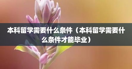 本科留学需要什么条件（本科留学需要什么条件才能毕业）