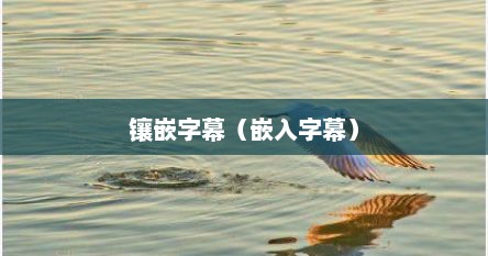 镶嵌字幕（嵌入字幕）
