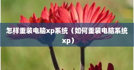 怎样重装电脑xp系统（如何重装电脑系统 xp）