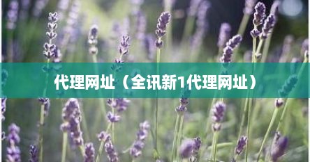 代理网址（全讯新1代理网址）