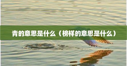 青的意思是什么（榜样的意思是什么）