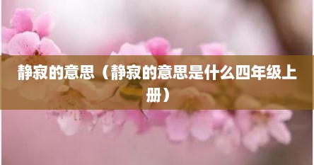 静寂的意思（静寂的意思是什么四年级上册）