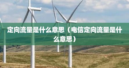 定向流量是什么意思（电信定向流量是什么意思）