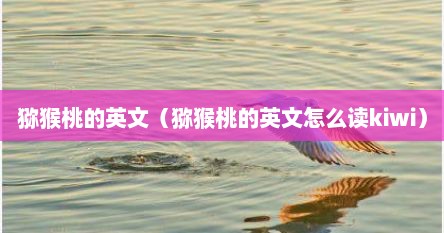 猕猴桃的英文（猕猴桃的英文怎么读kiwi）
