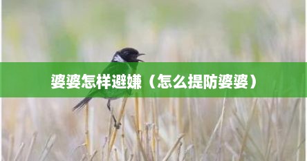 婆婆怎样避嫌（怎么提防婆婆）