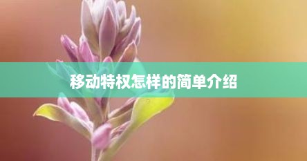 移动特权怎样的简单介绍