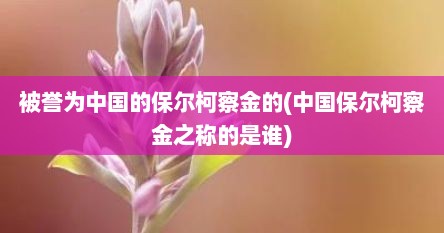 被誉为中国的保尔柯察金的(中国保尔柯察金之称的是谁)