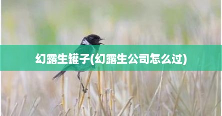 幻露生罐子(幻露生公司怎么过)