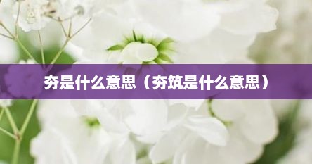 夯是什么意思（夯筑是什么意思）