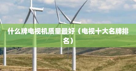 什么牌电视机质量最好（电视十大名牌排名）