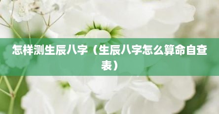 怎样测生辰八字（生辰八字怎么算命自查表）
