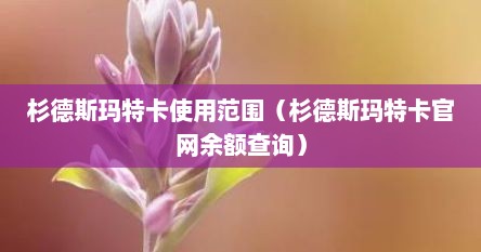 杉德斯玛特卡使用范围（杉德斯玛特卡官网余额查询）