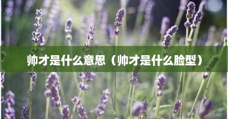 帅才是什么意思（帅才是什么脸型）