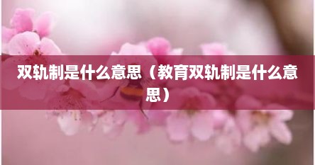 双轨制是什么意思（教育双轨制是什么意思）