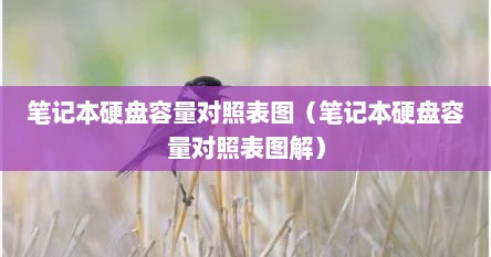 笔记本硬盘尺寸通用的吗（笔记本电脑硬盘参数对照表）