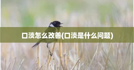 口淡怎么改善(口淡是什么问题)