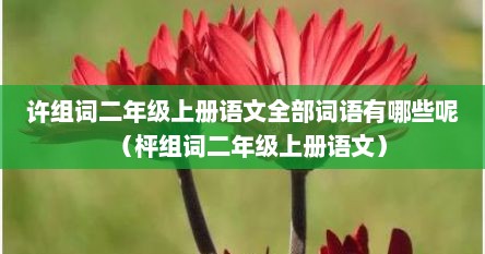许组词二年级上册语文全部词语有哪些呢（枰组词二年级上册语文）