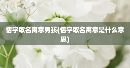 恬字取名寓意男孩(恬字取名寓意是什么意思)